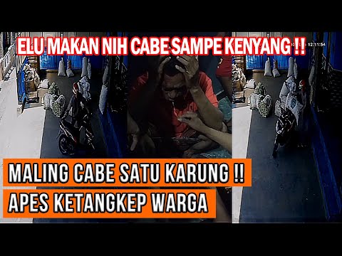 MALING JONTOR !! Nyolong Cabe Sekarung Ketangkep Disuapin Cabe Sama Warga