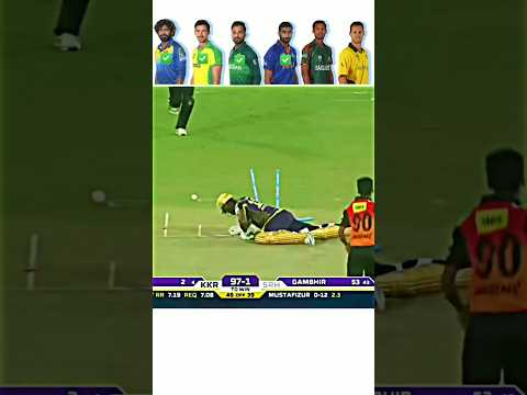 Best Yorkers in Cricket History 🔥🤯 #cricket #shorts