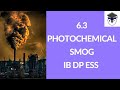 Pollutants and Their Effects