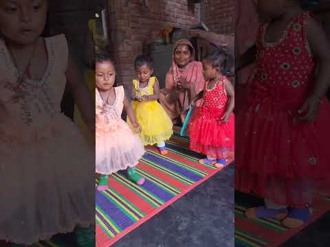 🥰দোয়েল কোয়েল ময়নার নাচ দেখুন 🥰#subscribe #youtubeshorts #shortvideo #youtube #youtuber
