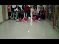 Balloon-Powered Race Car Project