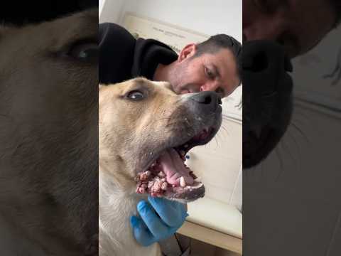 Para mama hiç istemedim yardımları kabil de etmedim hiç. Tek isteğim sizden onlara sahip çıkalım