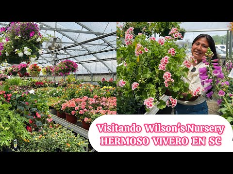 Visitando un hermoso VIVERO encontre gran variedad de plantas que florecen mucho