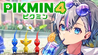 【ピクミン4】休日出勤するよ～～～～～～【雨乃こさめ/シクフォニ】