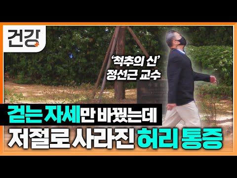 걷는 자세만 바꿔도 허리 통증 사라진다 | '척추의 신' 정선근 교수가 알려주는 디스크 통증 수술 없이 낫는 방법 | 명의 | EBS 건강