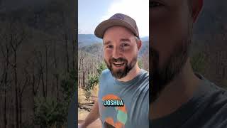 This is what a win, win, win looks like in business. Talent ✅ Clients ✅ Revenue ✅