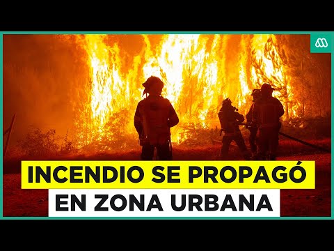 Incendio forestal en Collipulli: Llamas se propagan a zonas urbanas