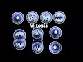 Understanding Mitosis