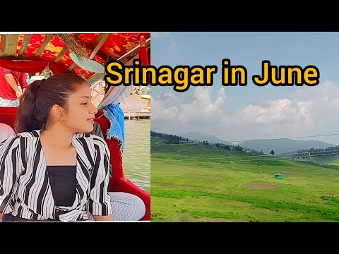 Kashmir Vlog PART - 1 / 5 Top views / Family trip / Shikara ride in Dal Lake / Kashmiri Shopping