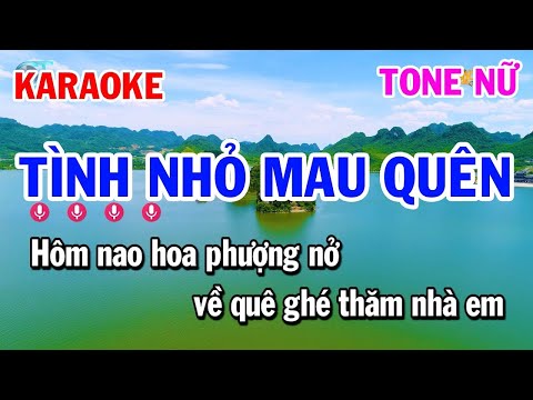 Tình Nhỏ Mau Quên Karaoke Tone Nữ Nhạc Sống Cha Cha