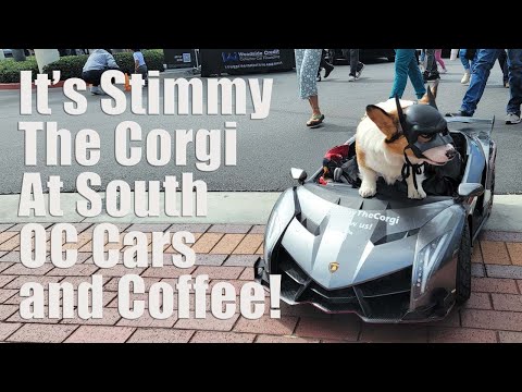 Cars, Coffee and Canines at Sound OC Cars and Coffee
