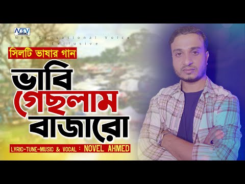 Sylhety Gan | Vabi Geslam Bazaro | সিলেটী আঞ্চলিক গান | Novel Ahmed  | ভাবি গেছলাম বাজারো