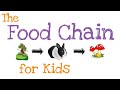 Exploring the Food Chain: Producers, Consumers, and Decomposers