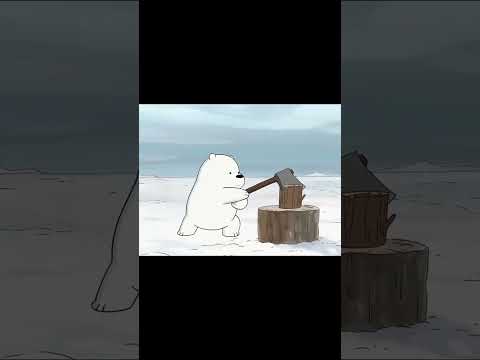 Ice bear