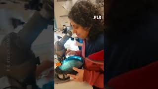 👨🏻‍🔬👩🏻‍🔬 Así trabajan los científicos del CONICET en la expedición al fondo del Mar Argentino
