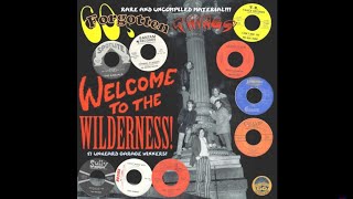 60s Forgotten Things Vol. 1 LP - Welcome To The Wilderness (60s GARAGE COMPILATION)