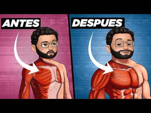 Cómo ganar MASA MUSCULAR en el PECHO ... RÁPIDO ⏳ [3 TIPS que te sorprenderán]