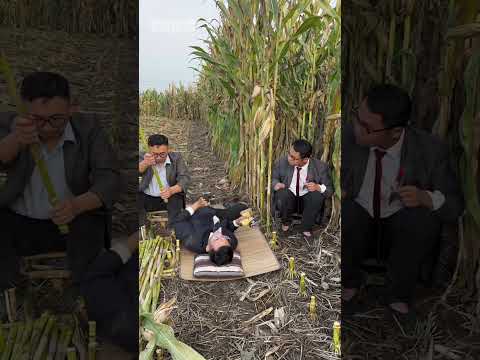 आज़ तो सारे गन्ने खत्म हो जाएंगे 😊 #like #sugarcane #likeandsubscribe #shortsfeed #shorts #share