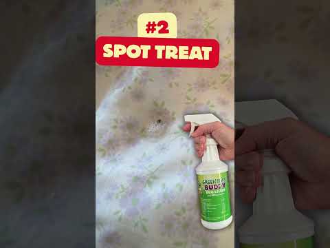 Bedbug 3-Step #pestmanagement - Panic to Peace #nopesticides