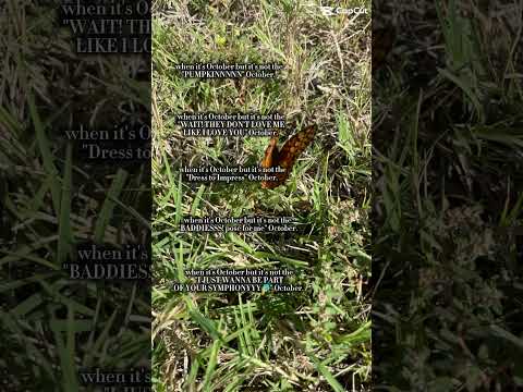 It’s not the same as October 2024 🙂‍↔️ #music #cover #fypシ゚viral