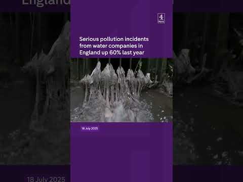 Serious pollution incidents from water companies in England up 60% last year