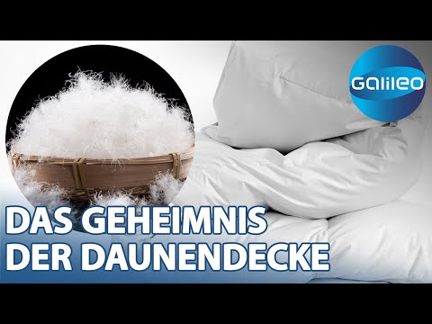 Decken bis zu 10.000€: Das Geheimnis einer guten Daunendecke | Galileo | ProSieben