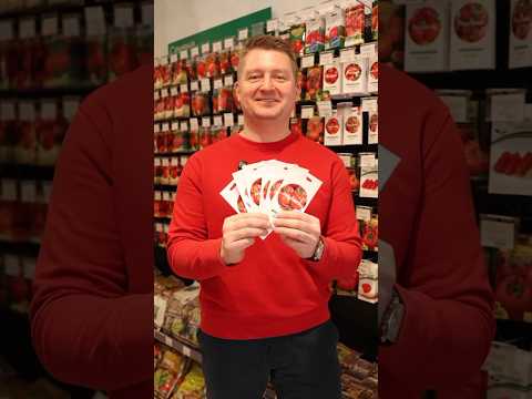 С этими томатами вы забудете о фитофторе и постоянных обработках! А еще они урожайные и вкусные