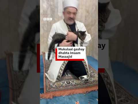 Muukulaal  soo gashay masaajid ka dibna fuushay dhabta imaanka oo akhrinayay saliga Nabiga NNKH.