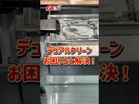 デュアルクリーン お困りごと解決のためのお手入れ方法! #水槽 #デュアルクリーン #アクアリウム #熱帯魚 #金魚 #上部フィルター