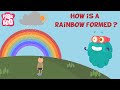 Understanding Rainbows and Light