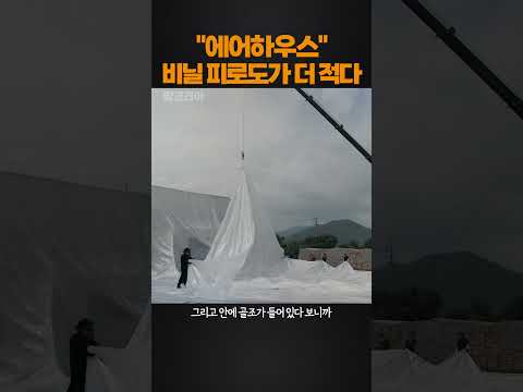 에어하우스가 비닐 피로도가 훨씬 더 적다 #에어하우스 #비닐하우스 #시설하우스