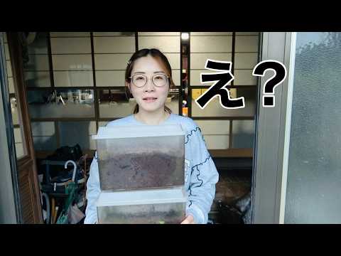 突然訪問してきたカメラマンにとんでもない虫を押し付けられた