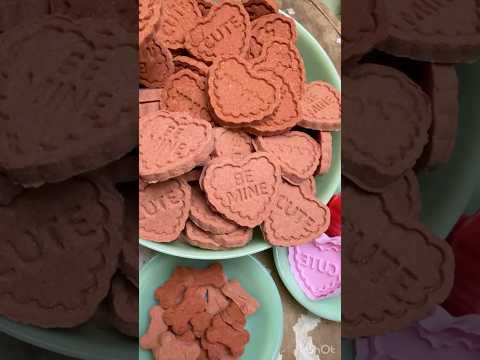 Doggie Valentine Conversation Heart Dog Cookie Treats in the Dehydrator