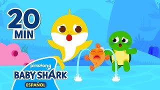 ¡Auchi, Tiburón Bebé Tiene Pupa!🤒 | Canciones de Boo Boo | Baby Shark en español