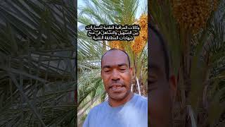 وكالة المراقبة التقنية للسيارات بين التسهيل والتساهل في منح شهادات المطابقة التقنية