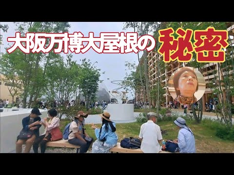 大阪万博に行って来ました/大屋根リングに大感動をするはるばあちゃん/EXPO25/#大阪万博