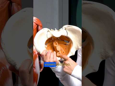 Draga ženska, tole moraš vedeti o sebi