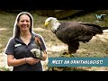 Bird Rehabilitation and Ecosystem Importance
