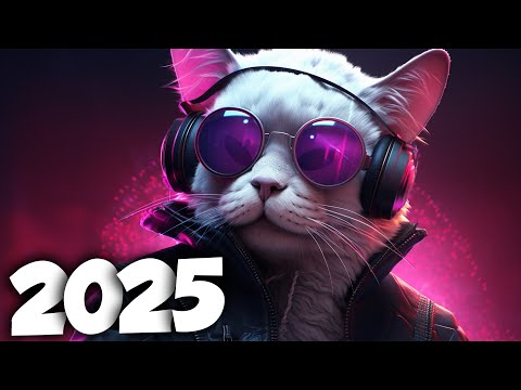 AS MELHORES MÚSICAS ELETRÔNICAS DE 2025 ⚡️ MÚSICAS ELETRÔNICAS ⚡️ NA BALADA ⚡️ALOK, DAVID GUETTA MIX