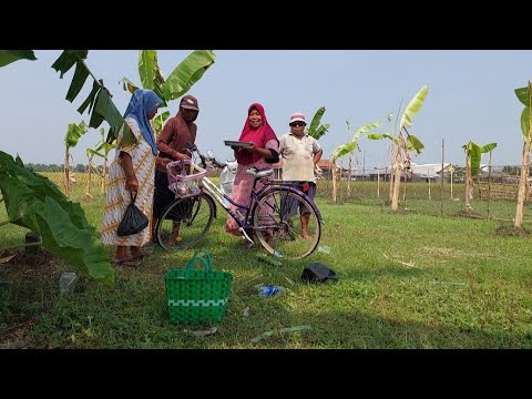 Alhamdulillah Emak Beli Tanah Kavling Dekat Anik XL