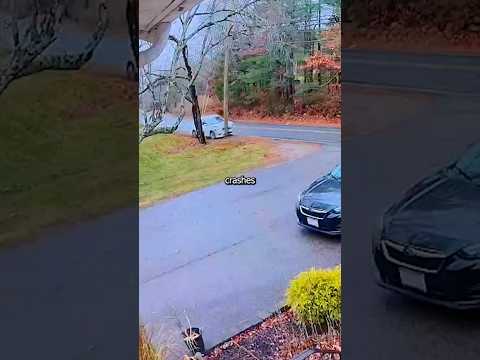 This Pole Keeps Getting Hit