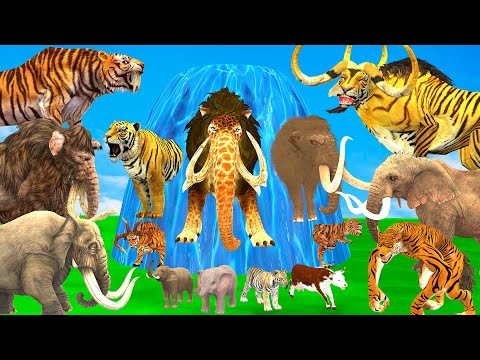 10 Mammoth Elephant Cow vs 10 Giant Tiger Bull vs Dinosaur Fight Tiger Cub Saved By Wolly Mammoth