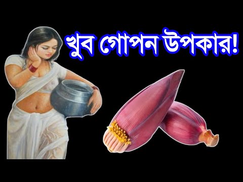 ভিডিওটি খুব গোপনে দেখুন! || এই ফুল আপনার জীবন বদলে দেবে || পৃথিবীর সবচেয়ে দামি ও উপকারি ফুল কলার ফুল