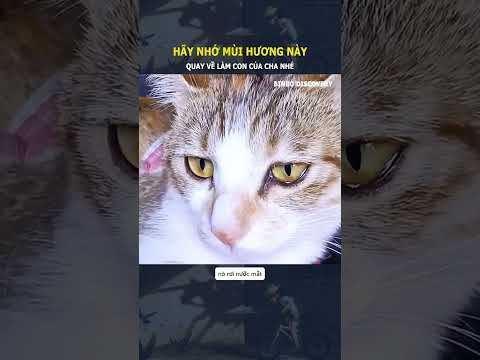 Hãy nhớ mùi hương này, quay về làm con của cha nhé#shorts