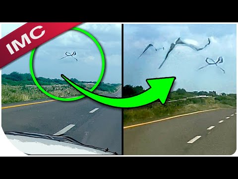 These Mysterious Videos Will Glitch Your Brain