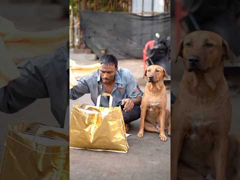 The one who is brought up is greater than the one who gives birth💔🥺 #youtubeshort #shorts