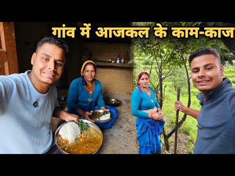 मानसून में गांव के काम-काज और जीवन | गांव का जीवन | villagers lifestyle in Uttarakhand | RTK Vlogs