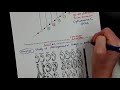 Molecular Genetics and Evolutionary Evidence