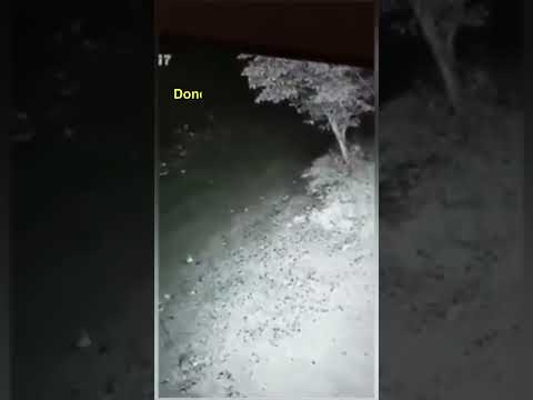 Este guardia cuando lo vio QUEDO COMPLETAMENTE ATERRADO!!! #paranormal
