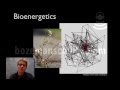 Bioenergetics and Thermodynamics Concepts